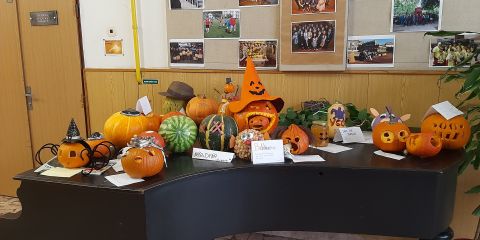 Obrázek: aktuality/20191108-093845.jpg